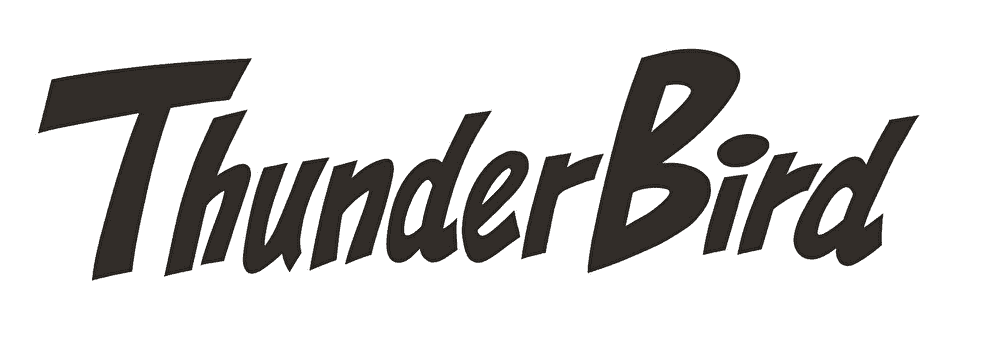 ThunderBird Logo